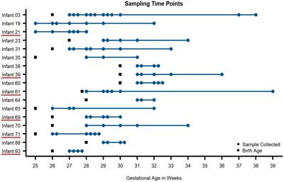 Antibiotic resistance and host immune system-induced metal bactericidal control are key factors for microbial persistence in the developing human preterm infant gut microbiome